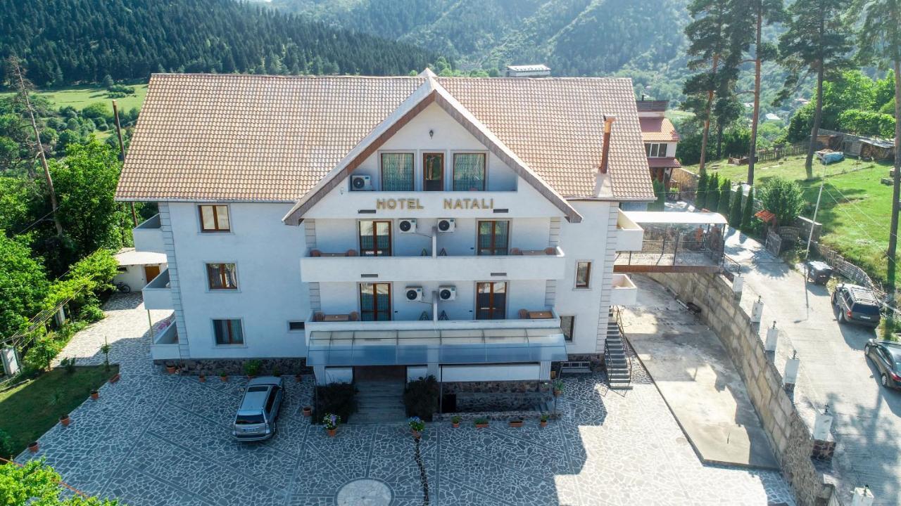 Natali Hotel Borjomi Eksteriør bilde
