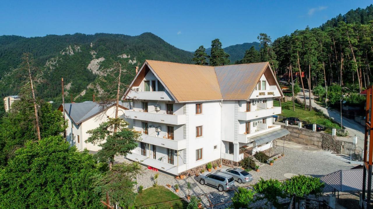 Natali Hotel Borjomi Eksteriør bilde