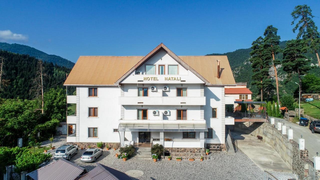 Natali Hotel Borjomi Eksteriør bilde
