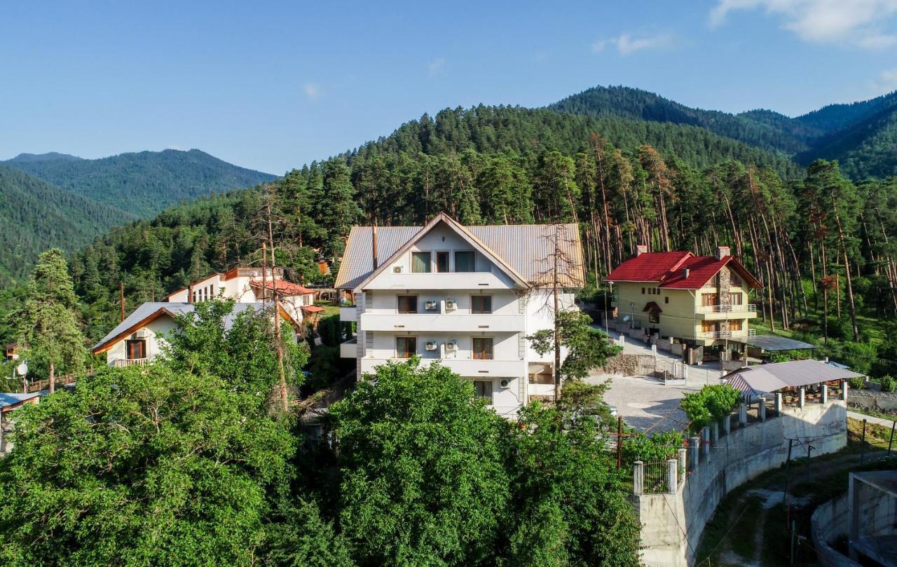 Natali Hotel Borjomi Eksteriør bilde