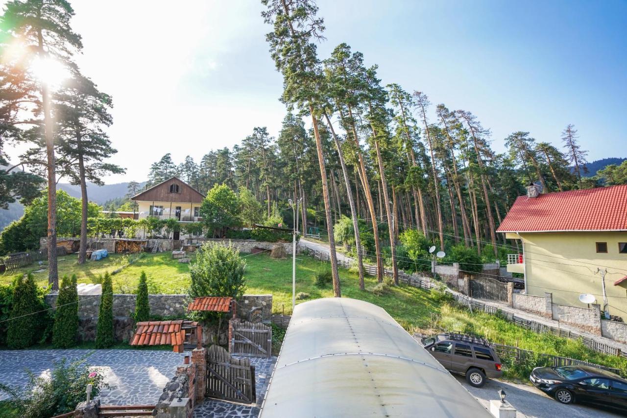 Natali Hotel Borjomi Eksteriør bilde