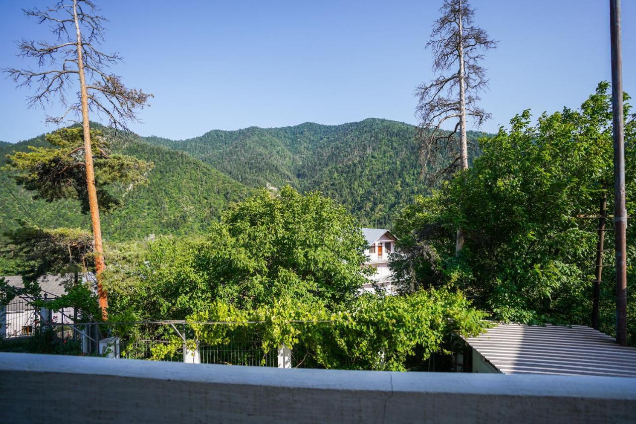 Natali Hotel Borjomi Eksteriør bilde