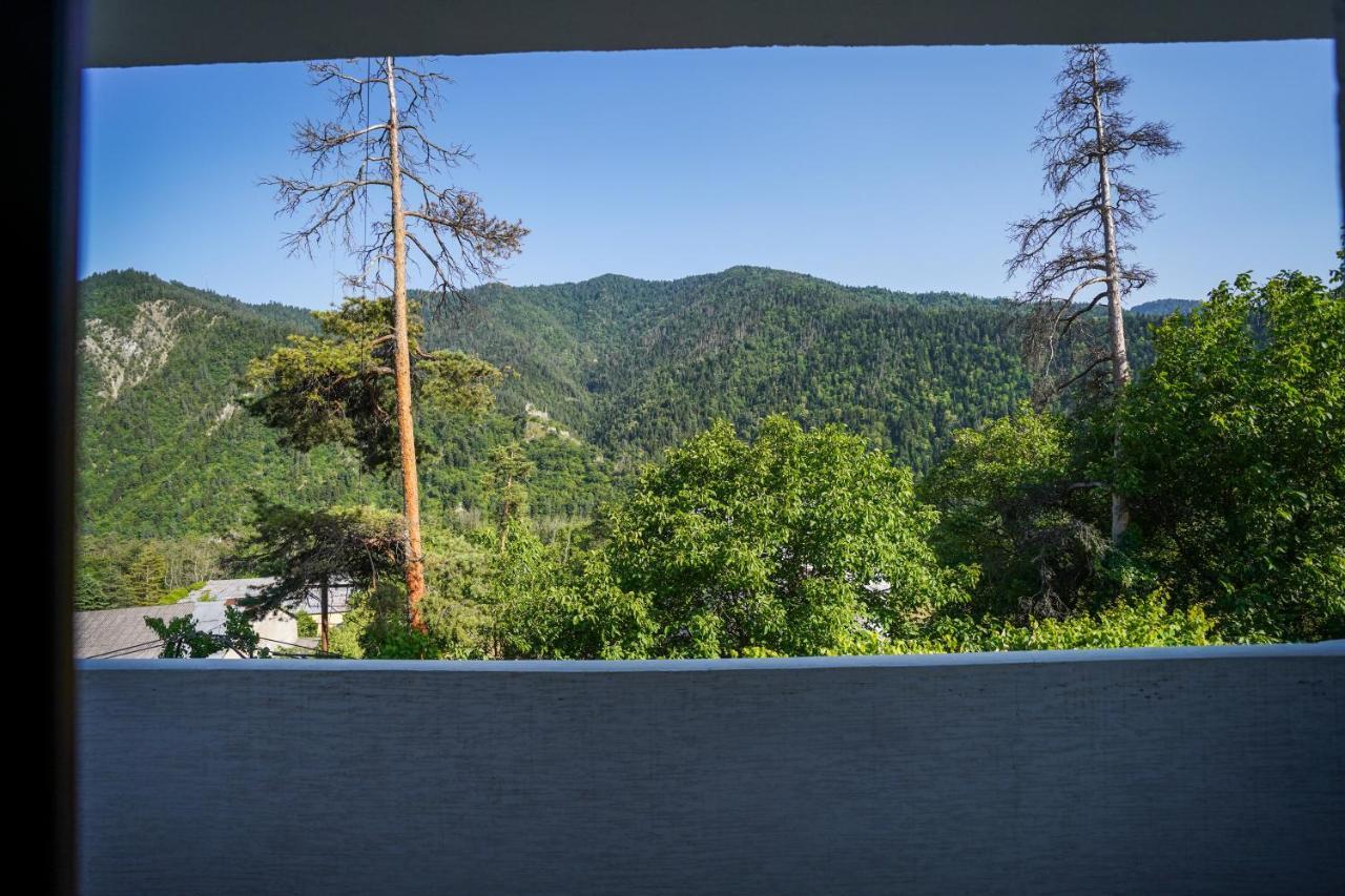 Natali Hotel Borjomi Eksteriør bilde
