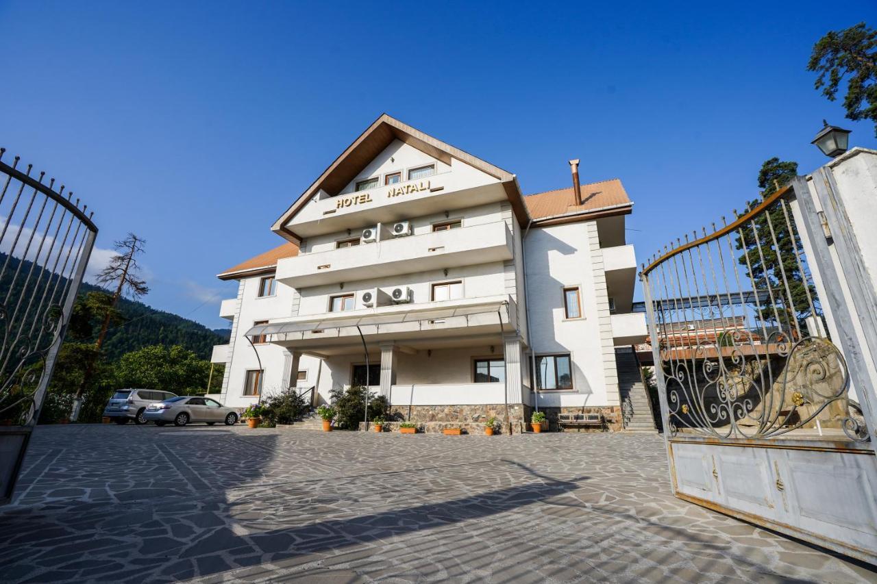 Natali Hotel Borjomi Eksteriør bilde