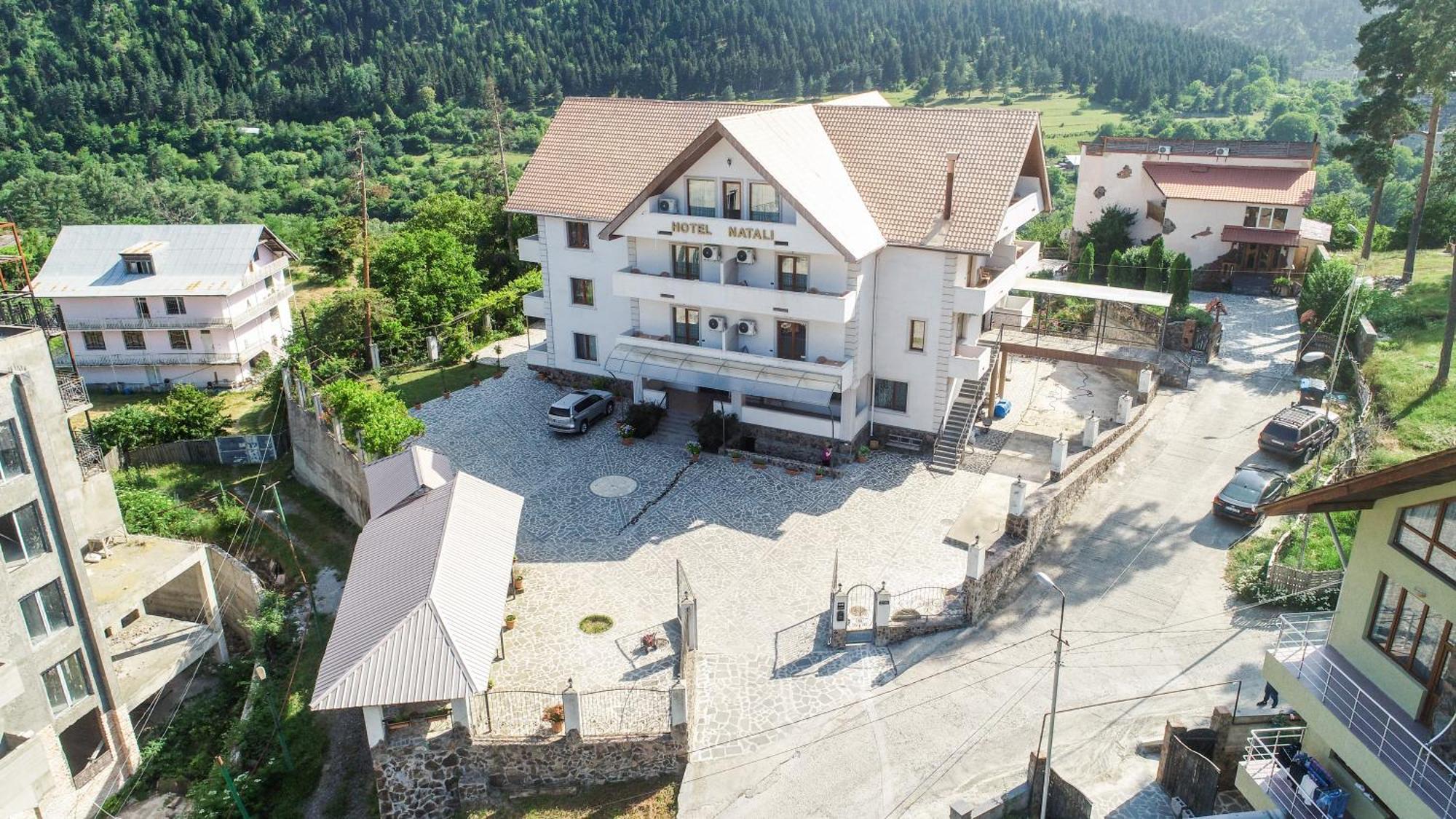 Natali Hotel Borjomi Eksteriør bilde
