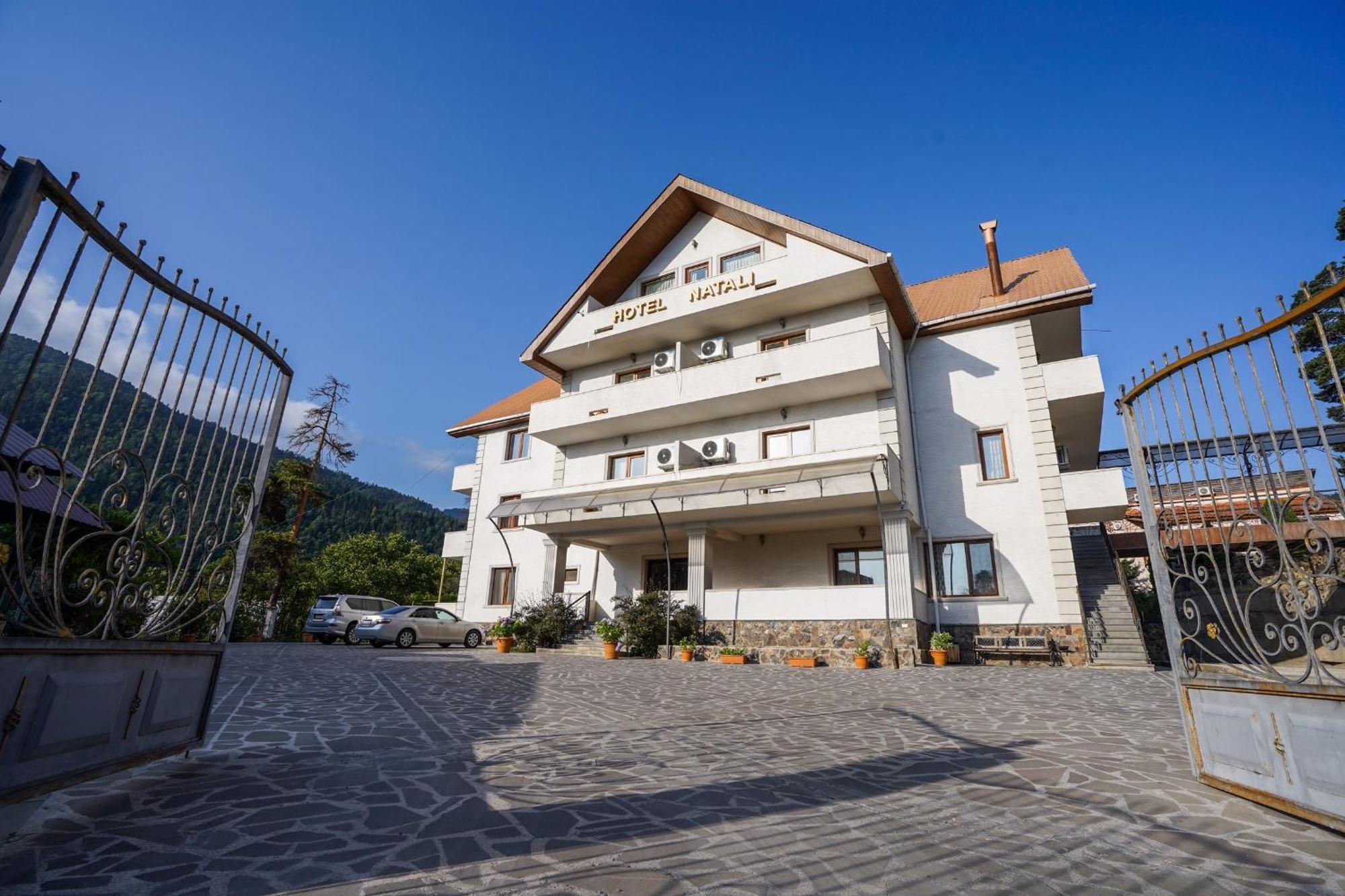 Natali Hotel Borjomi Eksteriør bilde