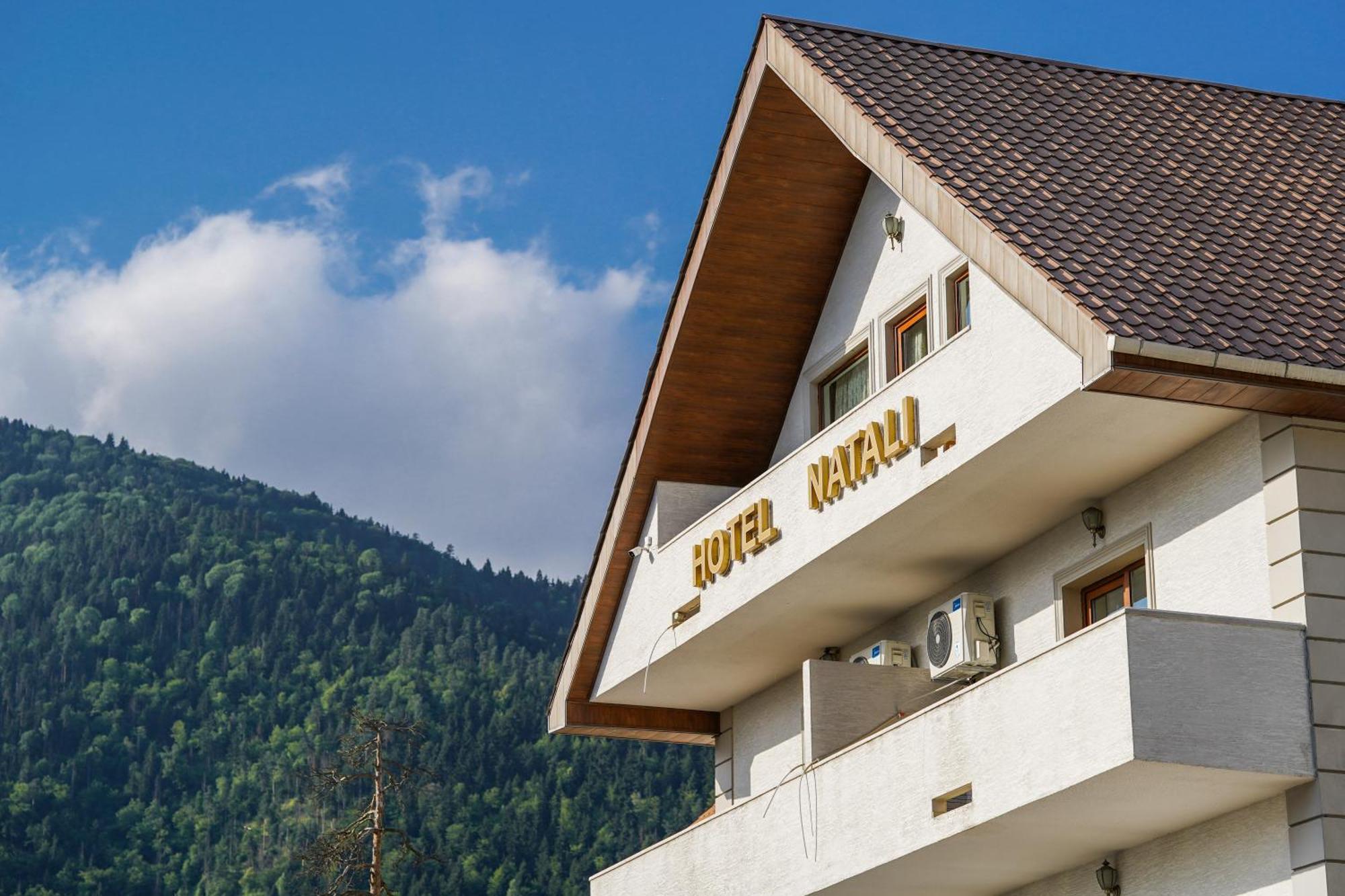 Natali Hotel Borjomi Eksteriør bilde